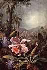 Famous Orchids Paintings - Orchids passion flower and hummingbirds
